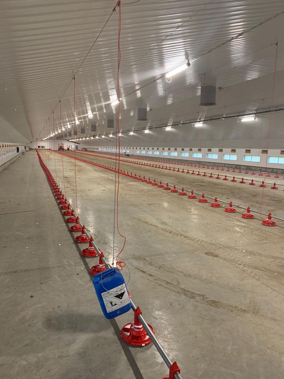 Greengage agri lamp LED lighting upgrade in a poultry house