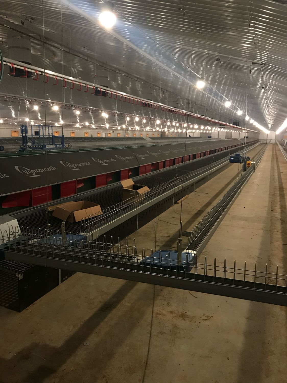 Containment and cabling runs through a poultry breeding unit